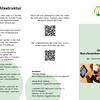 Flyer BVS PDF eines Flyers mit weiteren Informationen zur Berufsvorbereitsungsstufe